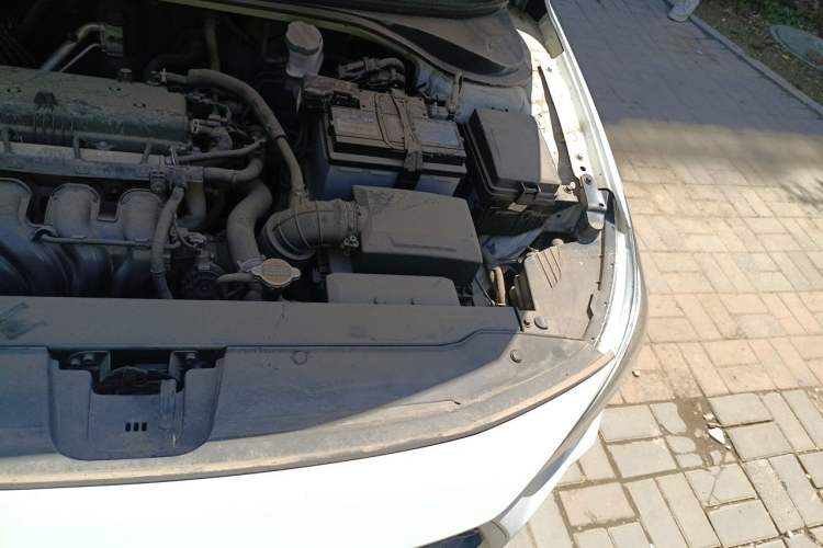 Used Hyundai Celesta 2017 1.6L Manual Enjoyment Edition GLS Engine Bay Left