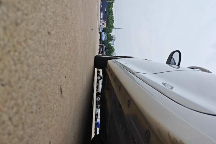 Used Hyundai Celesta 2018 1.6L Automatic GL Enjoyment Edition China VI compliant Left Side Sill
