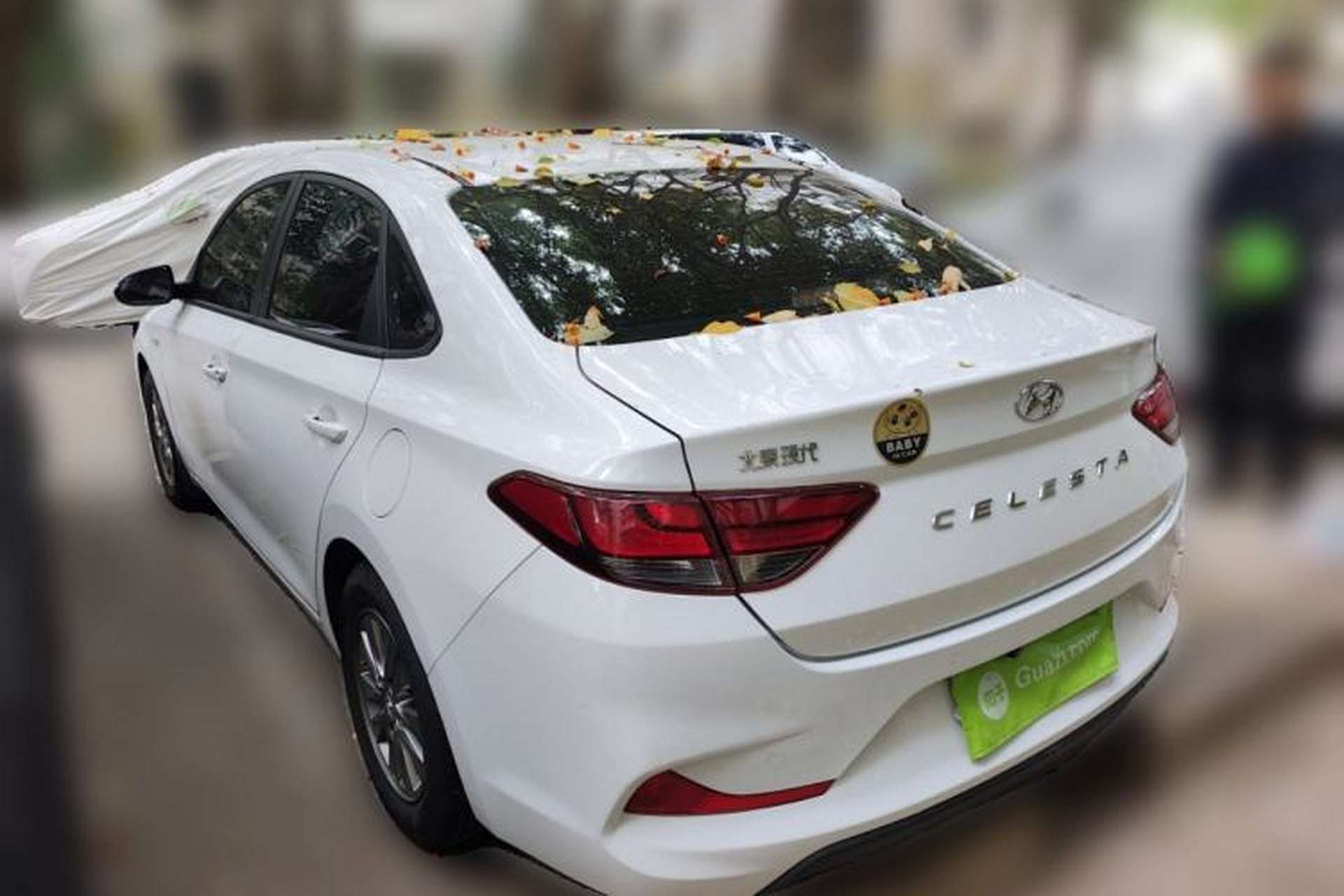 Used Hyundai Celesta 2018 1.6L Automatic GL Enjoyment Edition China VI compliant Rear Left 45 Deg