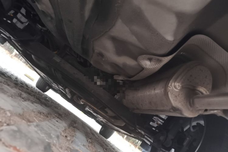 Used Hyundai Celesta 2020 1.6L Automatic GL Enjoyable Edition Chassis Rear