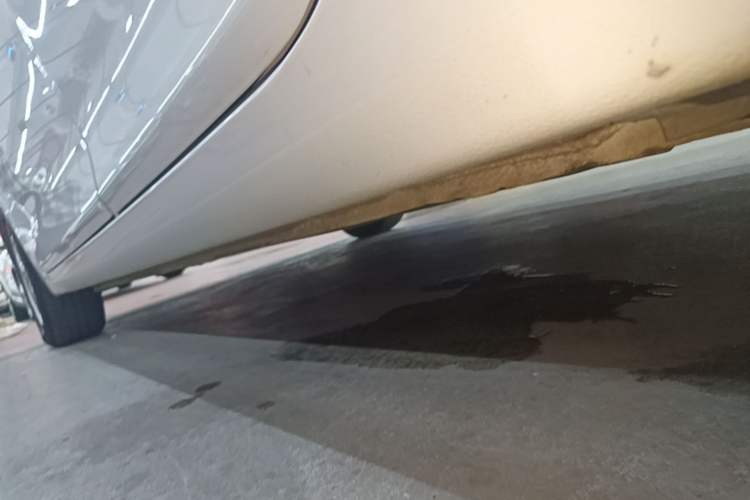 Used Hyundai Celesta 2020 1.6L Automatic GL Enjoyable Edition Left Side Sill