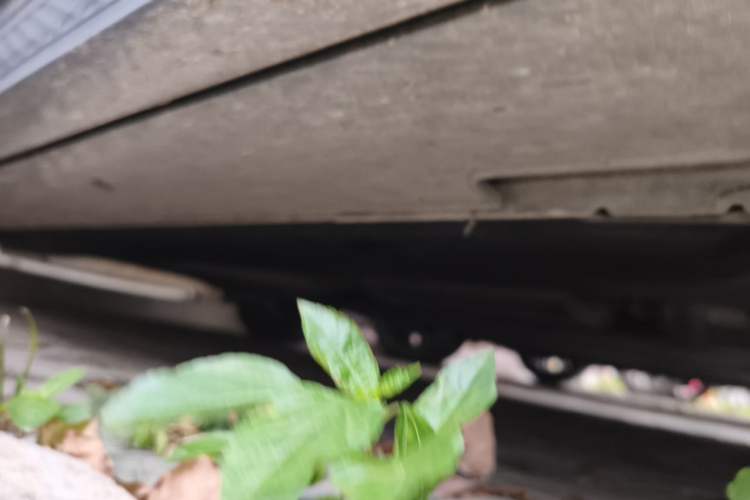 Used Hyundai Custo 2021 380TGDi Smart Luxury Premium LUX Chassis Front Right