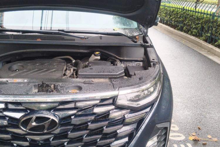 Used Hyundai Custo 2021 380TGDi Smart Love Flagship Edition TOP Premium Engine Bay Left