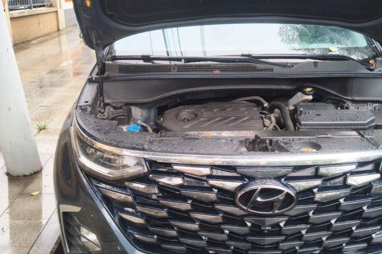 Used Hyundai Custo 2021 380TGDi Smart Love Flagship Edition TOP Premium Engine Bay Right