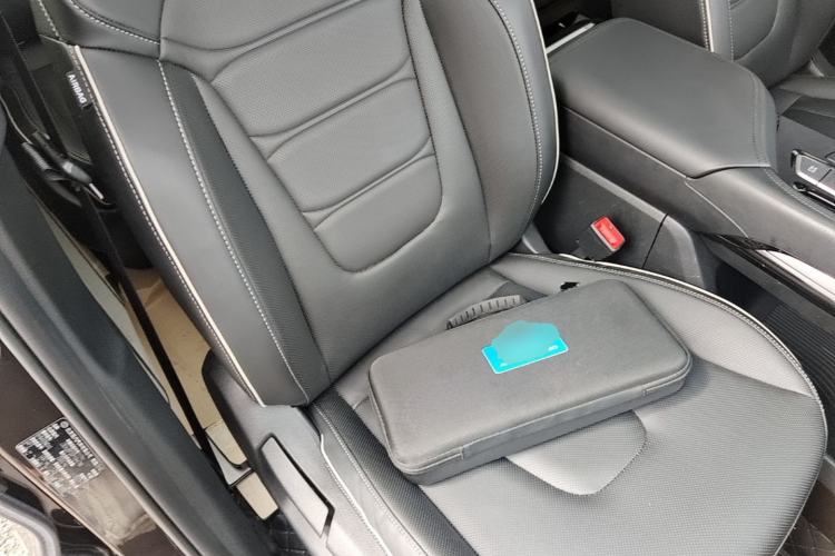 Used Hyundai Custo 2021 270TGDi Prestige LUX Right Front Seat