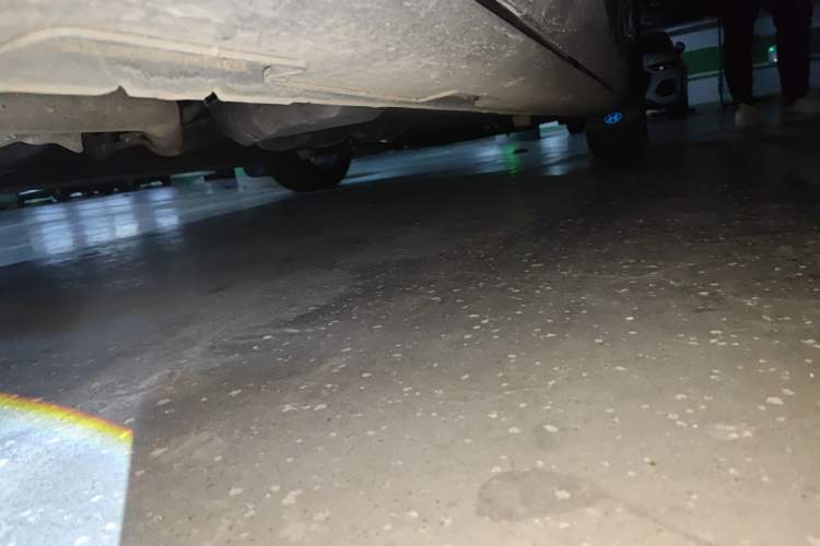 Used Hyundai Custo 2021 270TGDi Prestige LUX Chassis Rear Right