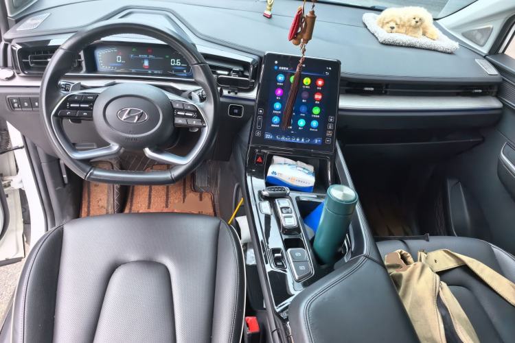 Used Hyundai Custo 2021 380TGDi Smart Love Flagship Edition TOP Premium Center Console