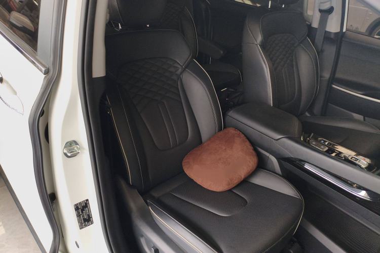 Used Hyundai Custo 2021 380TGDi Smart Love Flagship Edition TOP Premium Right Front Seat