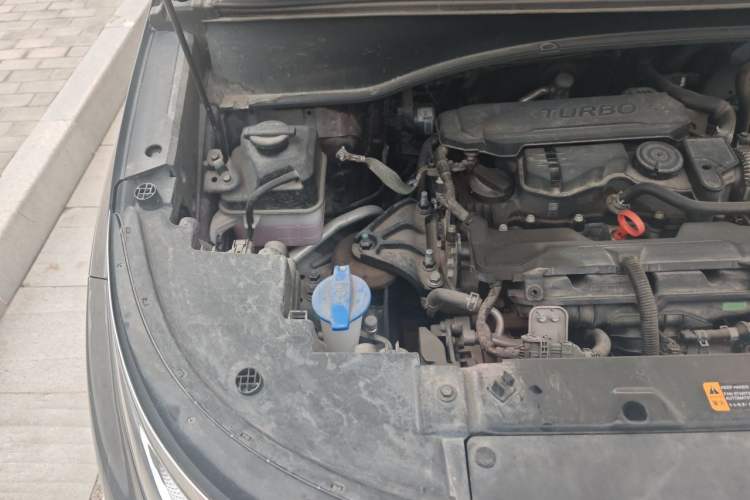 Used Hyundai Custo 2024 270TGDi LUX Prestige Edition Engine Bay Right