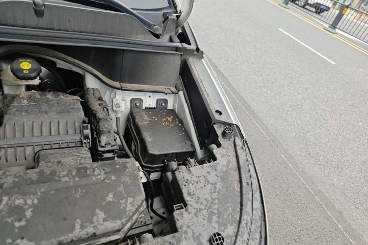 Used Hyundai Custo 2024 270TGDi LUX Prestige Edition Engine Bay Left