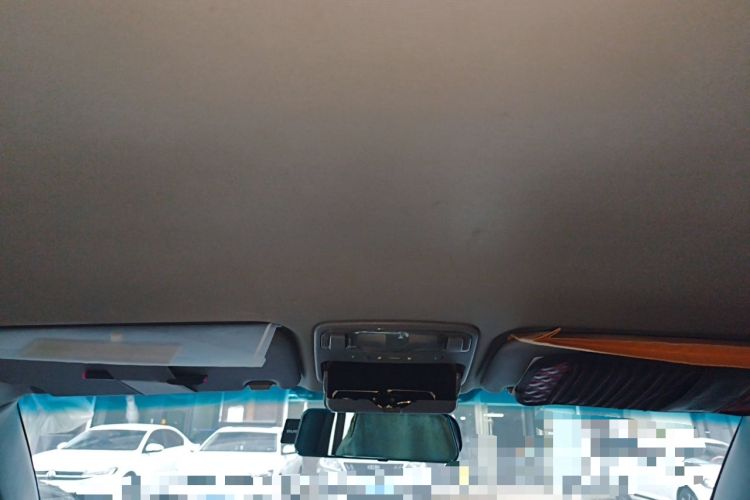 Used Hyundai Elantra 2012 1.6L Manual CNG Dual-Fuel Version Headliner