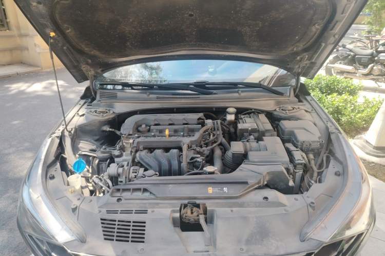 Used Hyundai Elantra 2021 1.5L CVT LUX Prestige Edition Engine Bay