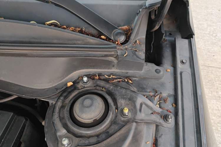 Used Hyundai Elantra 2021 240TGDi DCT LUX Prestige Edition Engine Bay Left