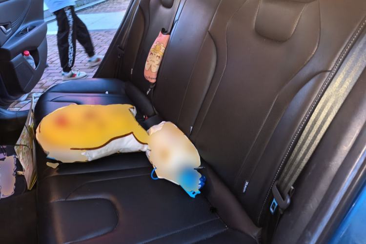 Used Hyundai Elantra 2021 1.5L CVT GLX Elite Edition Left Rear Seat
