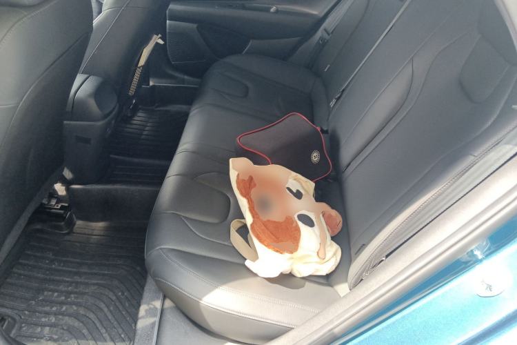 Used Hyundai Elantra 2021 1.5L CVT LUX Prestige Edition Left Rear Seat