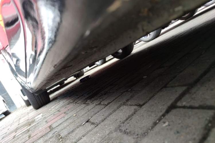 Used Hyundai Elantra 2021 1.5L CVT LUX Prestige Edition Right Side Sill