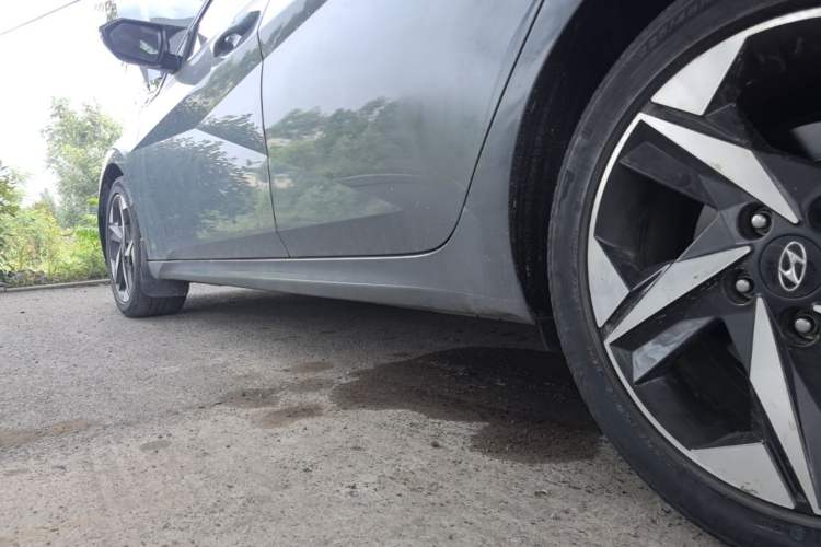 Used Hyundai Elantra 2021 1.5L CVT LUX Prestige Edition Left Side Sill