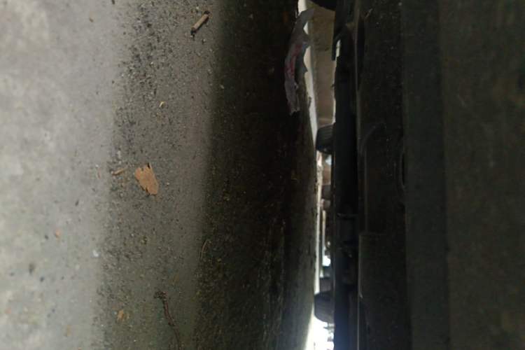 Used Hyundai Elantra 2021 1.5L CVT LUX Prestige Edition Chassis Front