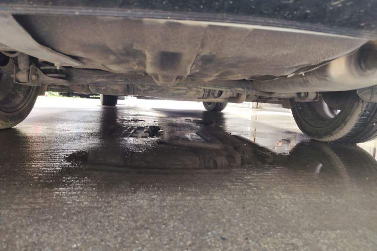 Used Hyundai Elantra 2021 1.5L CVT GLX Elite Edition Chassis Rear