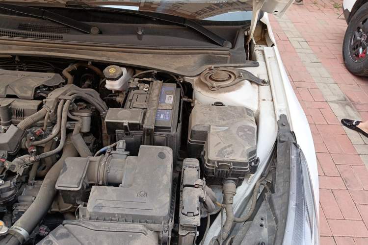 Used Hyundai Elantra 2021 1.5L CVT LUX Prestige Edition Engine Bay Left