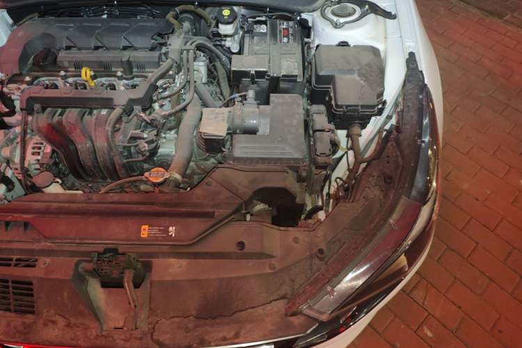 Used Hyundai Elantra 2021 1.5L CVT LUX Prestige Edition Engine Bay Left