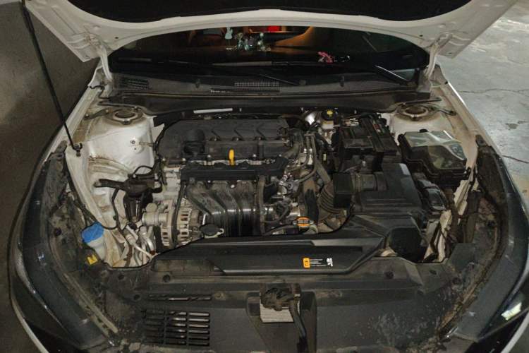 Used Hyundai Elantra 2021 1.5L CVT LUX Prestige Edition Engine Bay