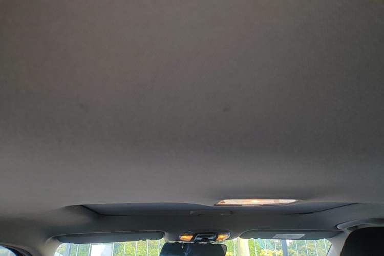 Used Hyundai Elantra 2021 1.5L CVT GLX Elite Edition Headliner
