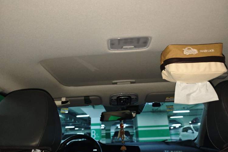 Used Hyundai Elantra 2021 1.5L CVT LUX Prestige Edition Headliner