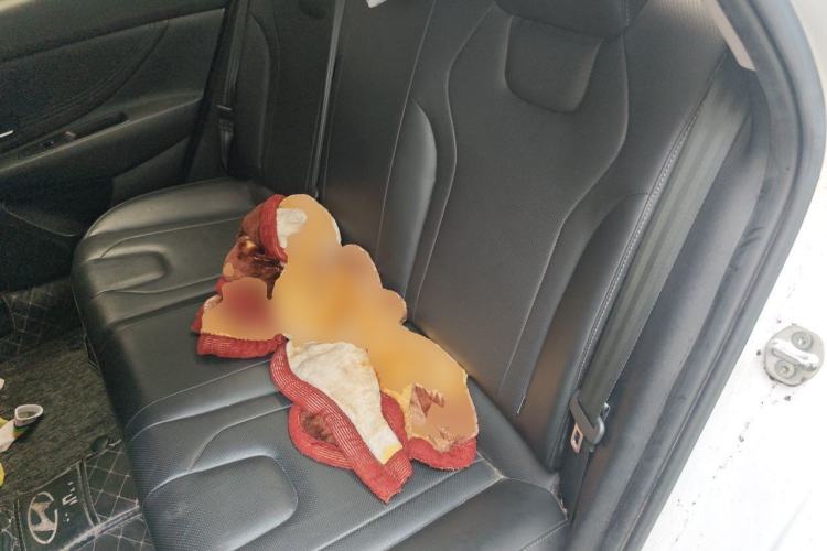 Used Hyundai Elantra 2021 1.5L CVT LUX Prestige Edition Left Rear Seat