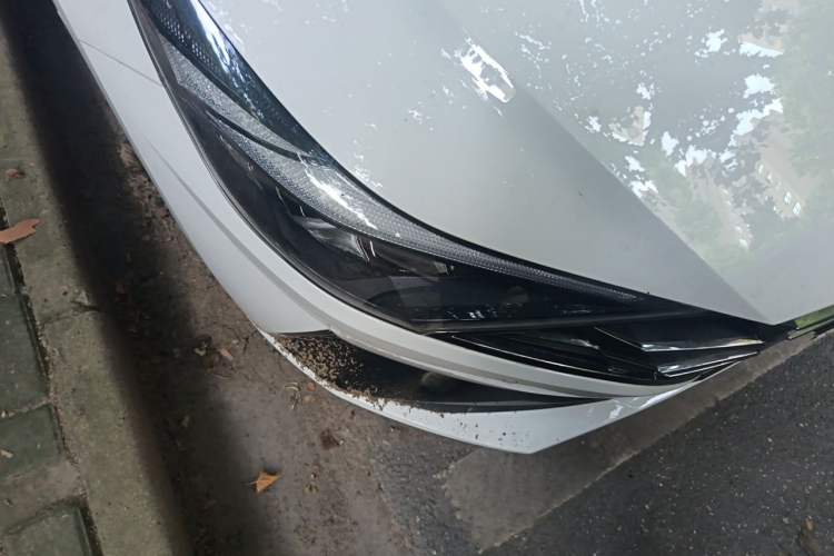 Used Hyundai Elantra 2021 1.5L CVT LUX Prestige Edition Right Front Headlight