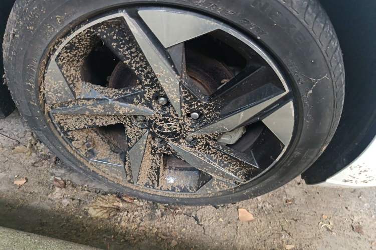 Used Hyundai Elantra 2021 1.5L CVT LUX Prestige Edition Right Front Wheel Hub