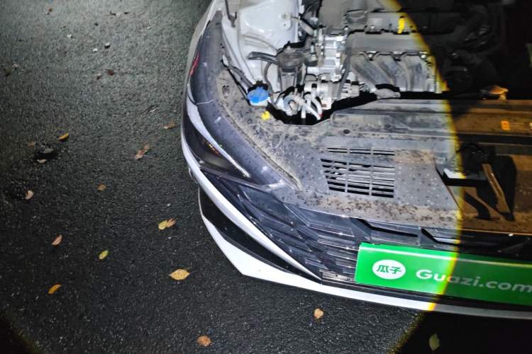 Used Hyundai Elantra 2022 1.5L CVT LUX Prestige Edition Right Front Headlight