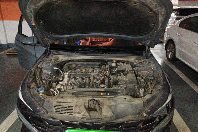 Used Hyundai Elantra 2022 1.5L CVT LUX Prestige Edition Engine Bay