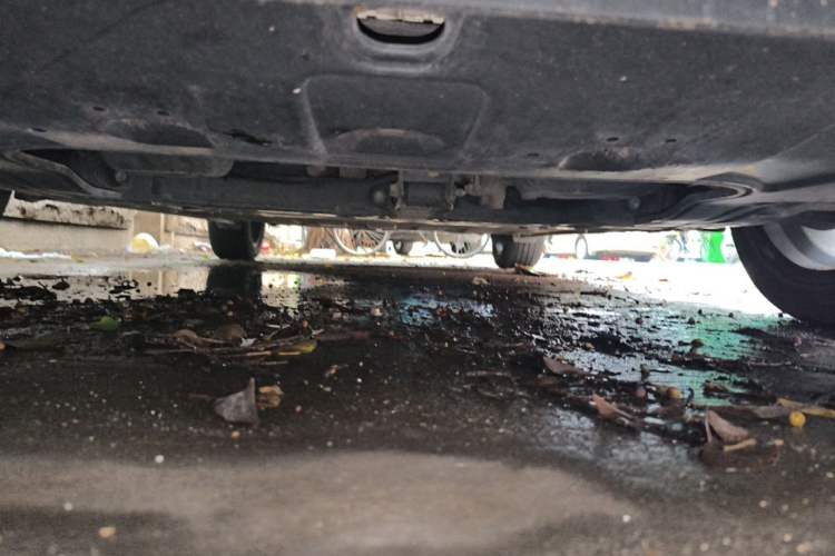 Used Hyundai Elantra 2022 1.5L CVT LUX Prestige Edition Chassis Front