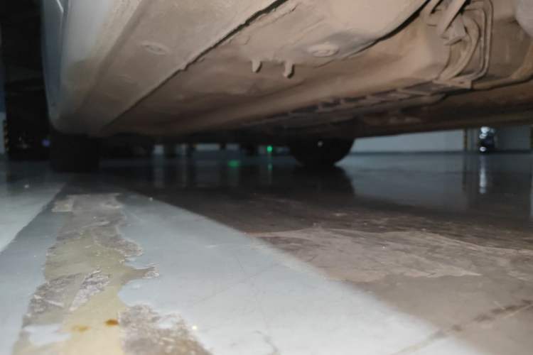 Used Hyundai Elantra 2022 1.5L CVT LUX Prestige Edition Chassis Rear Left
