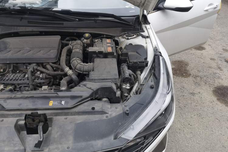 Used Hyundai Elantra 2022 240TGDi DCT LUX Prestige Edition Engine Bay Left