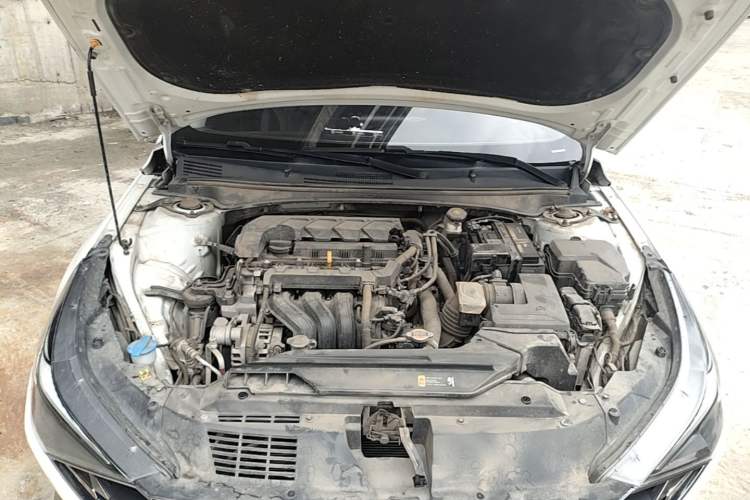 Used Hyundai Elantra 2022 1.5L CVT GLX Elite Edition Engine Bay