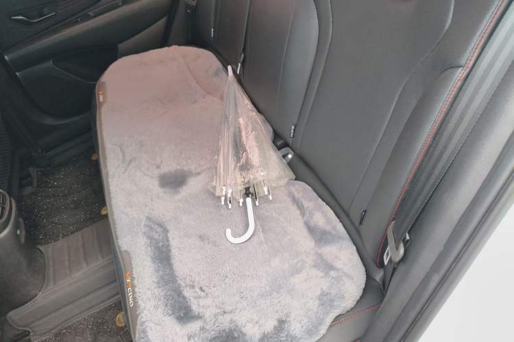 Used Hyundai Elantra 2022 240TGDi DCT LUX Prestige Edition Left Rear Seat