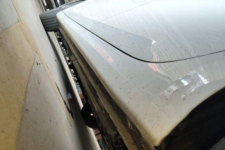 Used Hyundai Elantra 2022 1.5L CVT GLX Elite Edition Left Side Sill