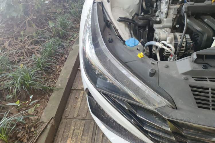 Used Hyundai Elantra 2022 1.5L CVT GLX Elite Edition Right Front Headlight