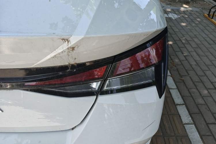 Used Hyundai Elantra 2022 1.5L CVT GLX Elite Edition Right Rear Taillight
