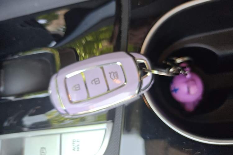 Used Hyundai Elantra 2022 1.5L CVT GLX Elite Edition Vehicle Key