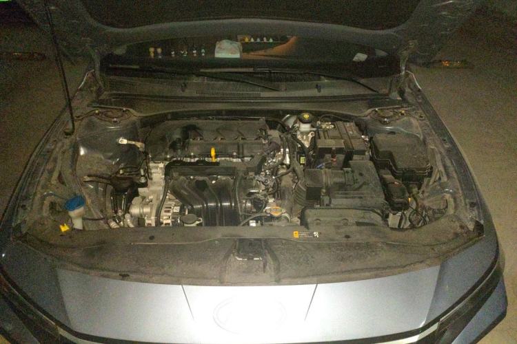 Used Hyundai Elantra 2023 1.5L CVT LUX Prestige Edition Engine Bay