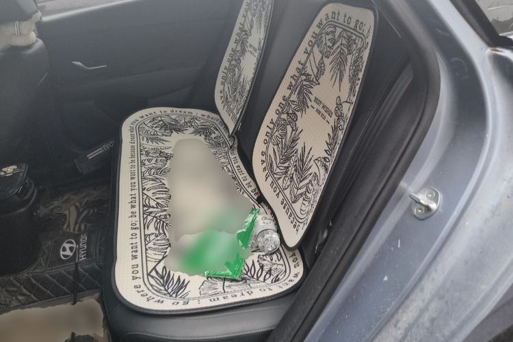 Used Hyundai Elantra 2023 1.5L CVT GLX Elite Edition Left Rear Seat