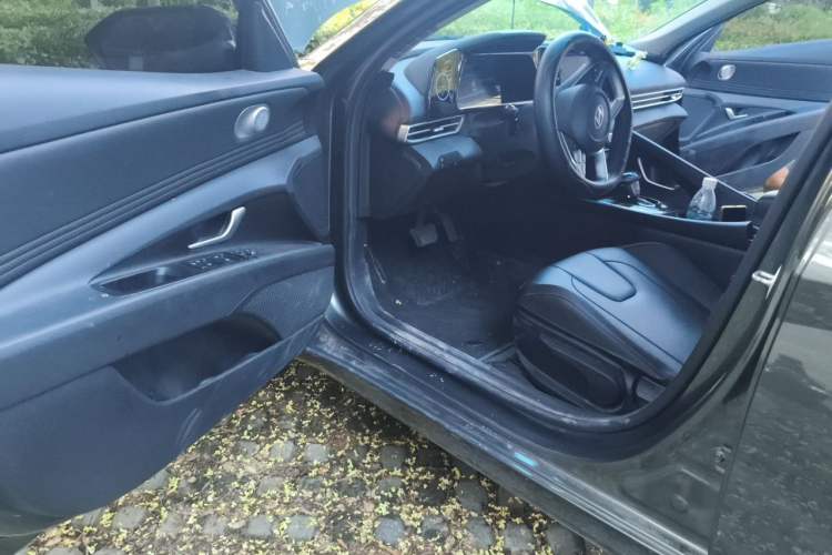 Used Hyundai Elantra 2023 1.5L CVT GLX Elite Edition Driver Seat