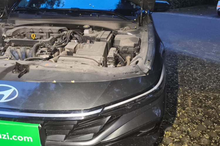Used Hyundai Elantra 2023 1.5L CVT GLX Elite Edition Engine Bay Left