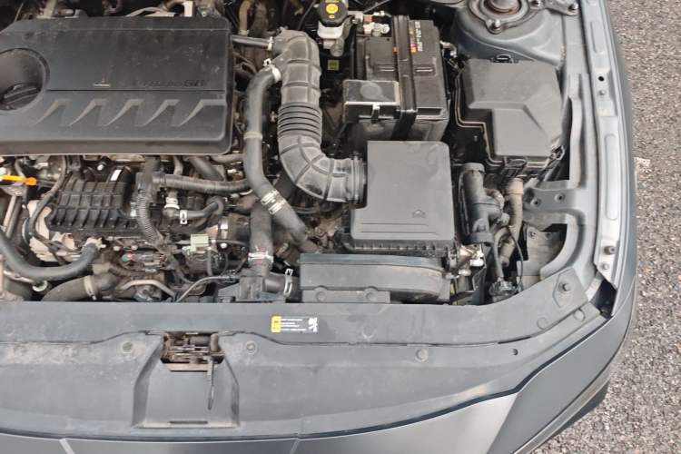 Used Hyundai Elantra 2023 240TGDi DCT N Line LUX Prestige Edition Engine Bay Left