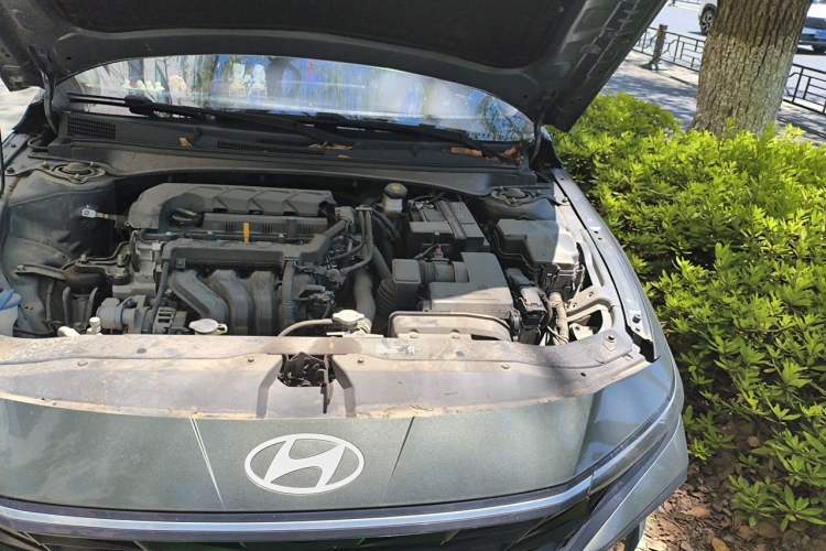 Used Hyundai Elantra 2023 1.5L CVT LUX Prestige Edition Engine Bay Left