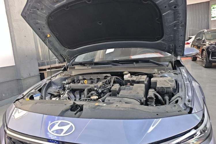 Used Hyundai Elantra 2023 1.5L CVT GLX Elite Edition Engine Bay