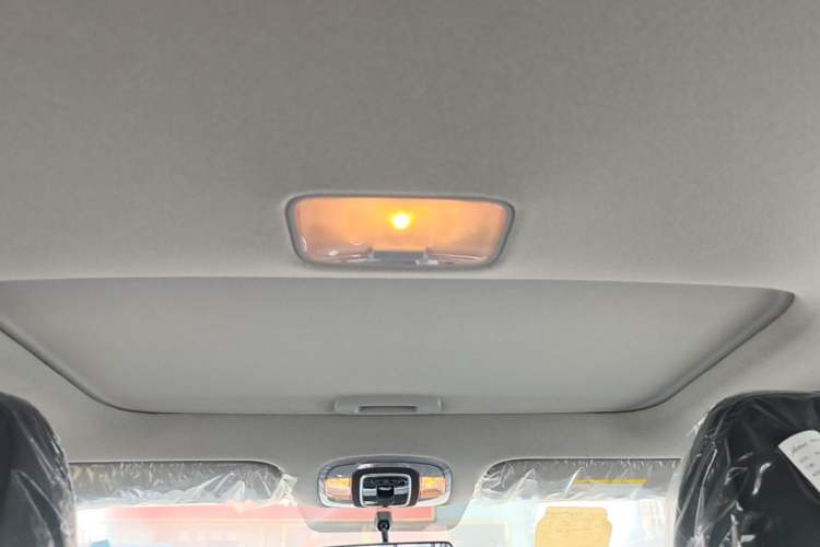 Used Hyundai Elantra 2023 1.5L CVT GLX Elite Edition Headliner